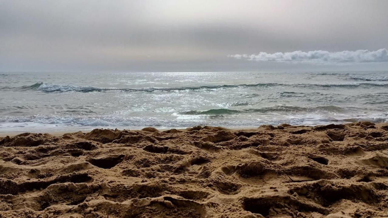 Apartamento Bella Vista - Aqua Nature La Mata La Mata  Eksteriør billede